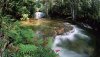 Nature HD Wallpapers-TheWindowsForum.com__4.jpg