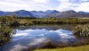 Nature HD Wallpapers-TheWindowsForum.com__5.jpg