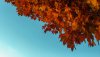 Ultra HD 4K Wallpapers-TheWindowsForum.com__015.jpg