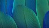 Ultra HD 4K Wallpapers-TheWindowsForum.com__031.jpg