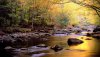 Nature HD Wallpapers-TheWindowsForum.com__20.jpg