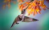 Ultra HD 4K Wallpapers-TheWindowsForum.com__041.jpg