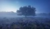 Ultra HD 4K Wallpapers-TheWindowsForum.com__056.jpg