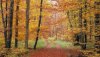 Nature HD Wallpapers-TheWindowsForum.com__12.jpg