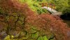 Nature HD Wallpapers-TheWindowsForum.com__13.jpg