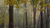 Nature HD Wallpapers-TheWindowsForum.com__14.jpg