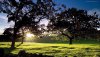 Nature HD Wallpapers-TheWindowsForum.com__1.jpg