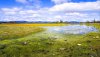 Nature HD Wallpapers-TheWindowsForum.com__4.jpg