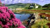 Nature HD Wallpapers-TheWindowsForum.com__18.jpg