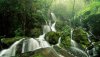 Nature HD Wallpapers-TheWindowsForum.com__2.jpg