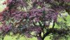 Nature HD Wallpapers-TheWindowsForum.com__7.jpg