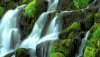 Nature HD Wallpapers-TheWindowsForum.com__13.jpg