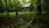 Nature HD Wallpapers-TheWindowsForum.com__14.jpg
