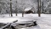 Nature HD Wallpapers-TheWindowsForum.com__15.jpg