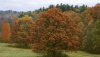 Nature HD Wallpapers-TheWindowsForum.com__2.jpg