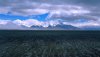 Nature HD Wallpapers-TheWindowsForum.com__10.jpg