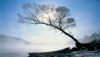 Nature HD Wallpapers-TheWindowsForum.com__12.jpg