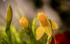 Ultra HD 4K Wallpapers-TheWindowsForum.com__122.jpg