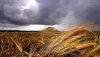 Nature HD Wallpapers-TheWindowsForum.com__8.jpg