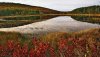 Nature HD Wallpapers-TheWindowsForum.com__18.jpg
