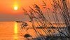 Ultra HD 4K Wallpapers-TheWindowsForum.com__023.jpg