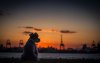 Ultra HD 4K Wallpapers-TheWindowsForum.com__028.jpg