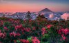 Ultra HD 4K Wallpapers-TheWindowsForum.com__062.jpg