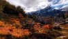 Nature HD Wallpapers-TheWindowsForum.com__1.jpg