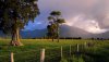 Nature HD Wallpapers-TheWindowsForum.com__2.jpg