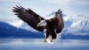 Nature HD Wallpapers-TheWindowsForum.com__10.jpg