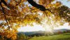 Nature HD Wallpapers-TheWindowsForum.com__18.jpg