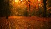 Nature HD Wallpapers-TheWindowsForum.com__20.jpg