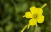 Ultra HD 4K Wallpapers-TheWindowsForum.com__071.jpg