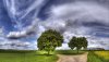 Nature HD Wallpapers-TheWindowsForum.com__3.jpg