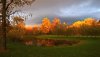 Nature HD Wallpapers-TheWindowsForum.com__8.jpg