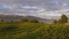 Nature HD Wallpapers-TheWindowsForum.com__13.jpg