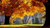 Nature HD Wallpapers-TheWindowsForum.com__19.jpg