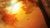 Nature HD Wallpapers-TheWindowsForum.com__20.jpg
