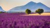 Ultra HD 4K Wallpapers-TheWindowsForum.com__092.jpg