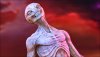 Ultra HD 4K Wallpapers-TheWindowsForum.com__099.jpg