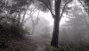 Nature HD Wallpapers-TheWindowsForum.com__10.jpg