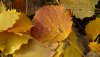Nature HD Wallpapers-TheWindowsForum.com__14.jpg