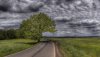 Nature HD Wallpapers-TheWindowsForum.com__13.jpg