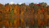 Nature HD Wallpapers-TheWindowsForum.com__15.jpg