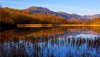Nature HD Wallpapers-TheWindowsForum.com__16.jpg