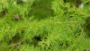 Nature HD Wallpapers-TheWindowsForum.com__2.jpg