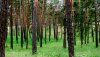 Nature HD Wallpapers-TheWindowsForum.com__3.jpg