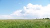 Nature HD Wallpapers-TheWindowsForum.com__8.jpg
