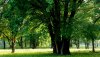 Nature HD Wallpapers-TheWindowsForum.com__13.jpg