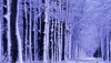 Nature HD Wallpapers-TheWindowsForum.com__18.jpg